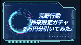 【荒野の光】本日実装された｢神来限定ガチャ｣2万円分引いてみたら・・・