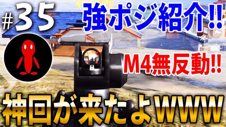 【神回】【ガチ百戦】core皇帝みたいなM4の無反動2.5発指切り炸裂！？さらにオススメの強ポジと車の隠し場所を紹介！【荒野行動上手くなる方法】【立ち回り】