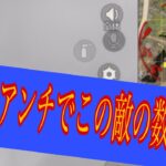 【荒野行動】これ見れば高額シングル勝てますよ！あ、グリッチはダメですよ！