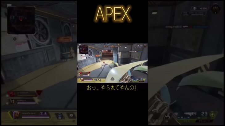 『APEX』世界一平和な煽り合い！！#apex #初心者 #生配信 #shorts #へたれパンダ