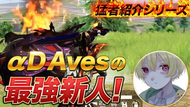 【猛者紹介シリーズ】22キルの超無双！Avesの最強火力！【荒野行動】