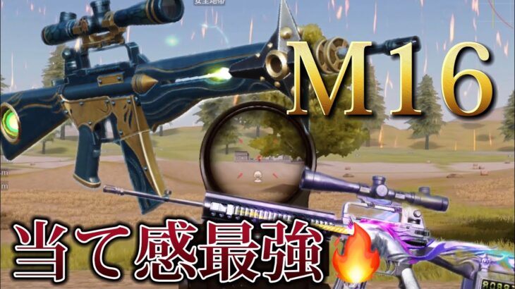 M16極めすぎた男達『M1st』【荒野行動/キル集勢紹介】