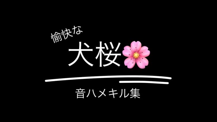 【荒野行動】愉快な犬桜(音ハメ)キル集  曲→Clattanoia
